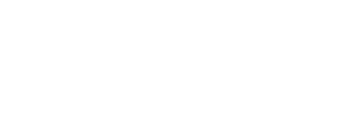 PARLIQ LLC